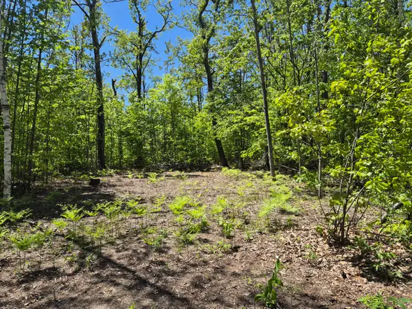 187-188 Primrose Trail, Gaylord, MI 49735