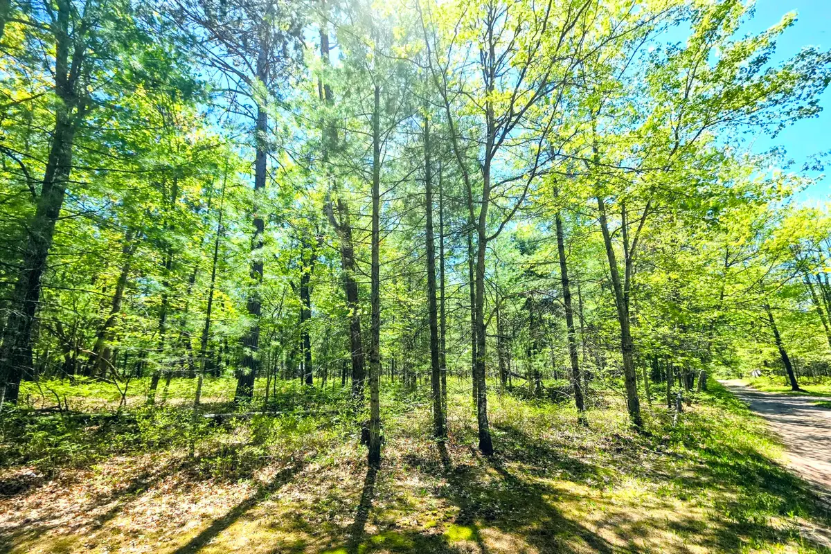 Lots 30-33 Madison Avenue, Grayling, MI 49738 - #1