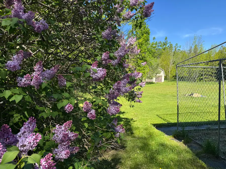 6234 French Road, Alpena, MI 49707 - #2