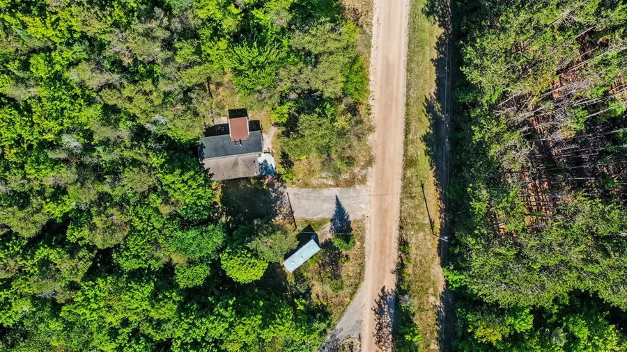 4460 Ford Road, Wolverine, MI 49799 - #3