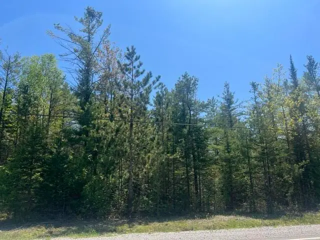 Lot 460 E Co Rd 638, Presque Isle, MI 49777 - #1