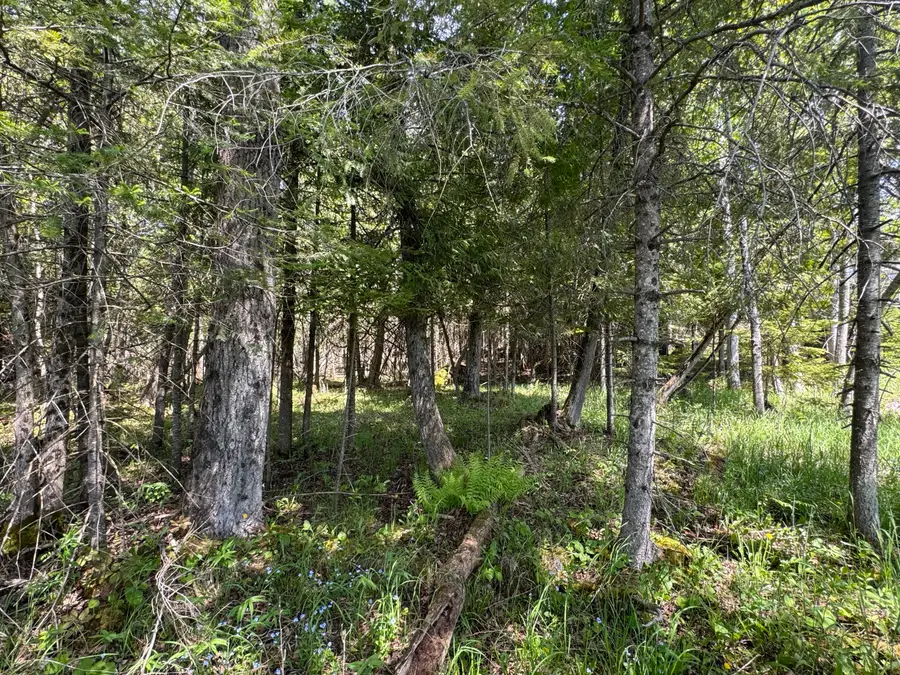 0.95 AC S Cedar Lane, Hessel, MI 49745 - #3