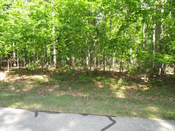 11190 Hassler Woods Trail, Alanson, MI 49706