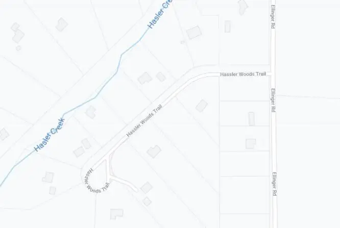 11190 Hassler Woods Trail, Alanson, MI 49706 - #2
