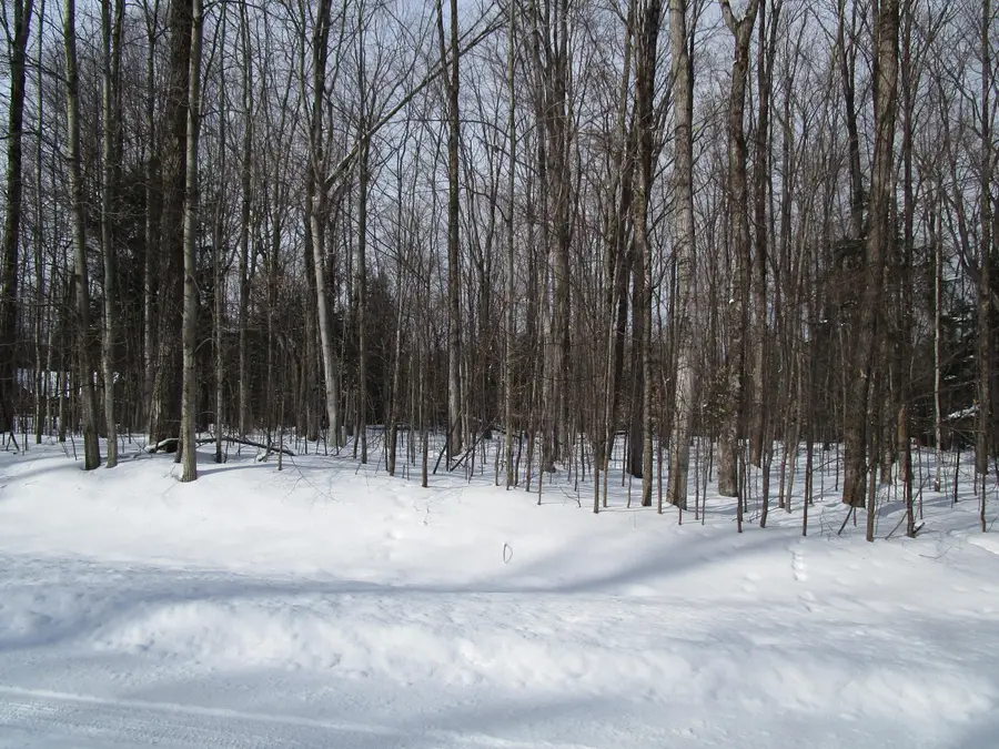 11190 Hassler Woods Trail, Alanson, MI 49706 - #3