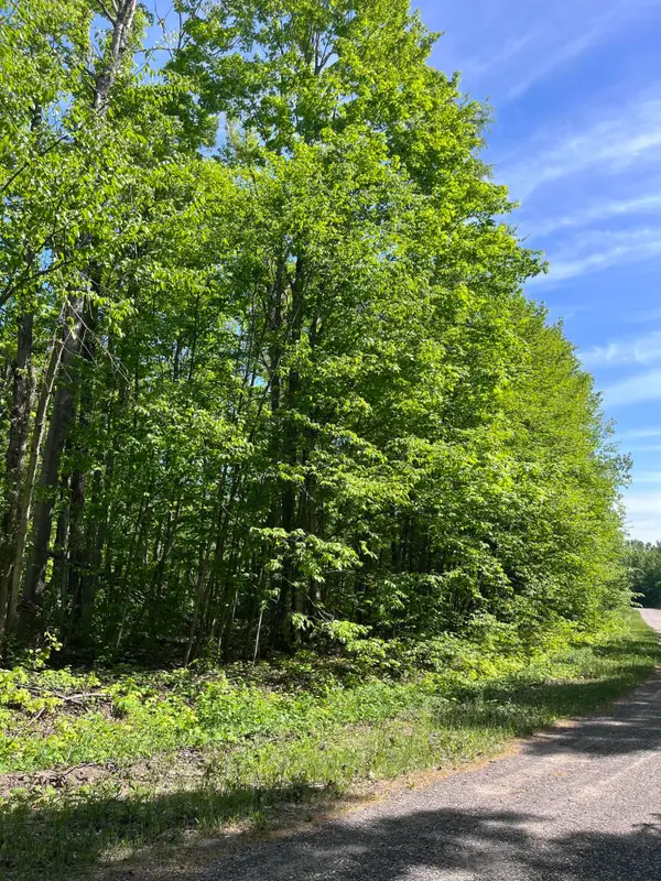 Lot 232 Laming Circle, Elmira, MI 49730