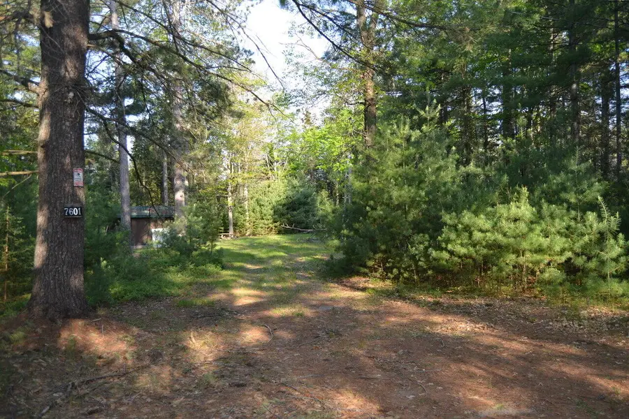 7601 N Cabin Lane, Roscommon, MI 48653 - #3