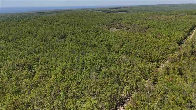 Parcel A S Beacon Hill Road, Harbor Springs, MI 49740 - #3