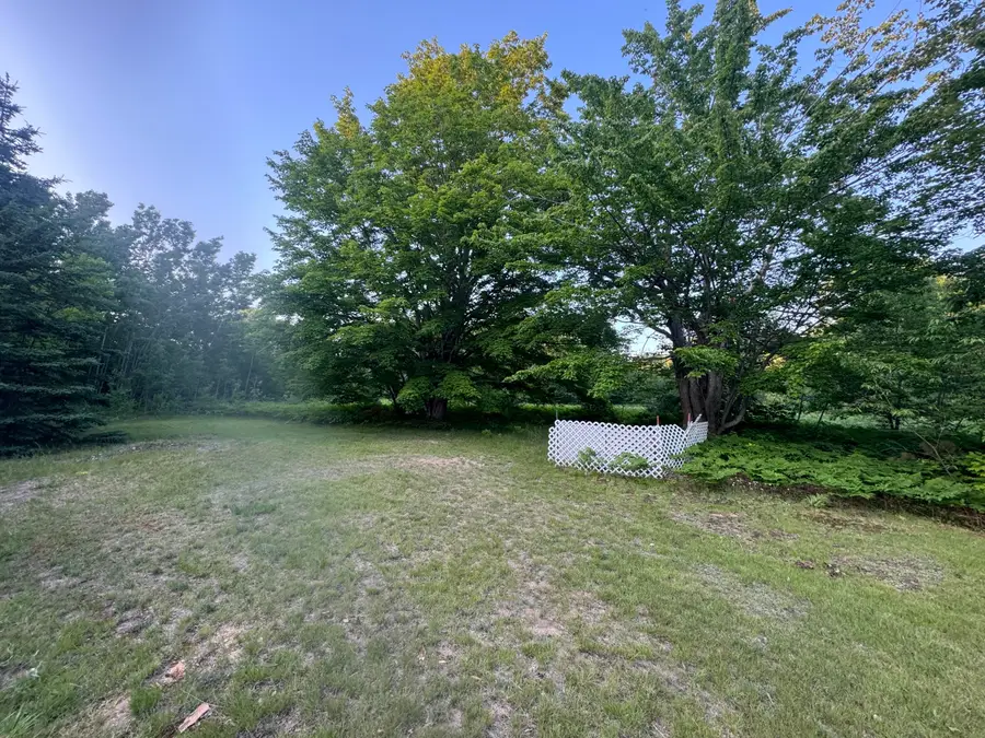 10590 N Hayes Lane, Carp Lake, MI 49718 - #2