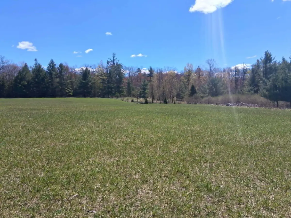 26.21 AC Crowell Road, Curran, MI 48728 - #1
