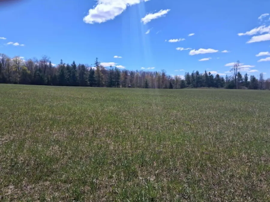 26.21 AC Crowell Road, Curran, MI 48728 - #3