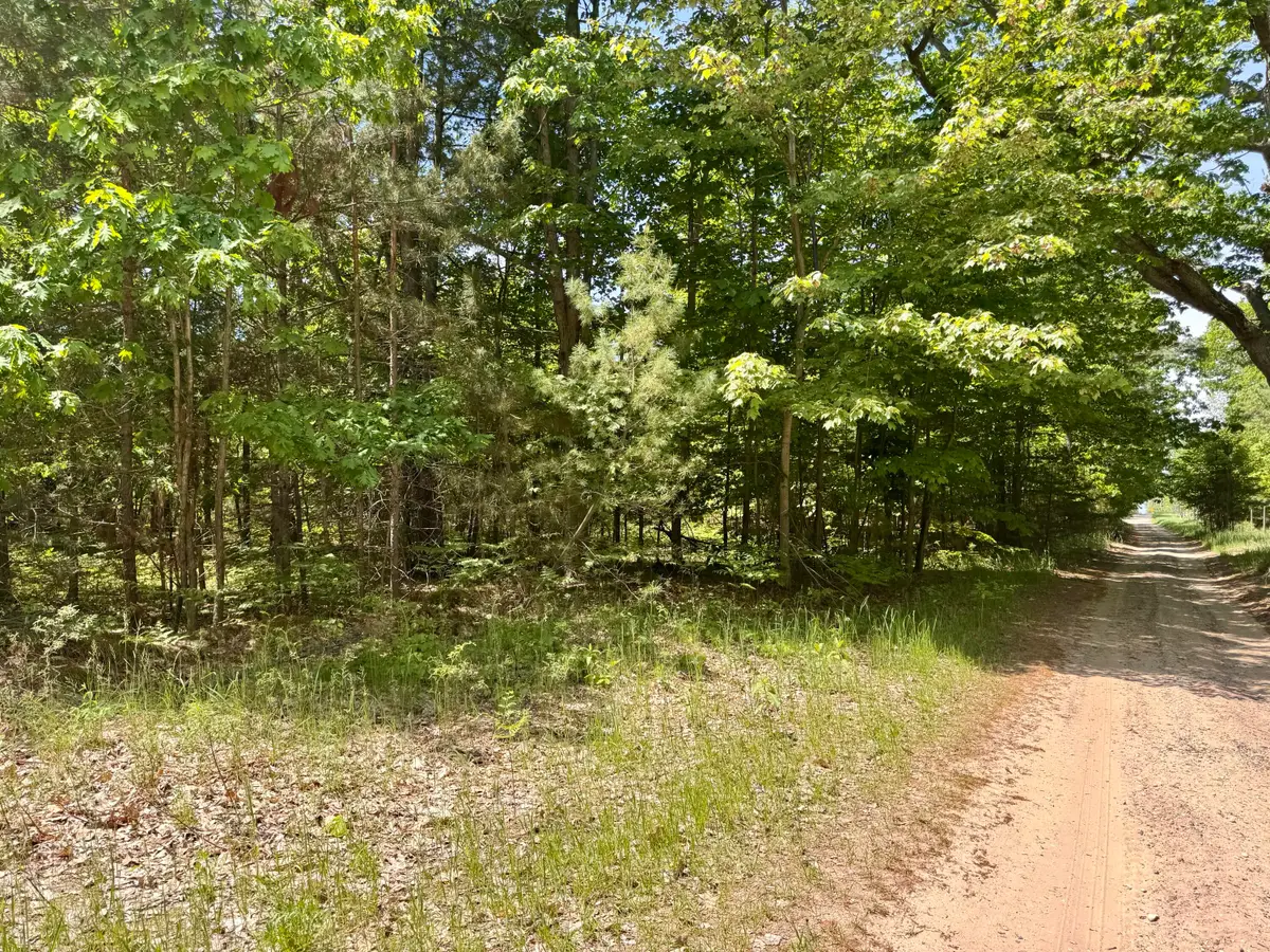 Par 5 Needles Road, Indian River, MI 49749 - #1