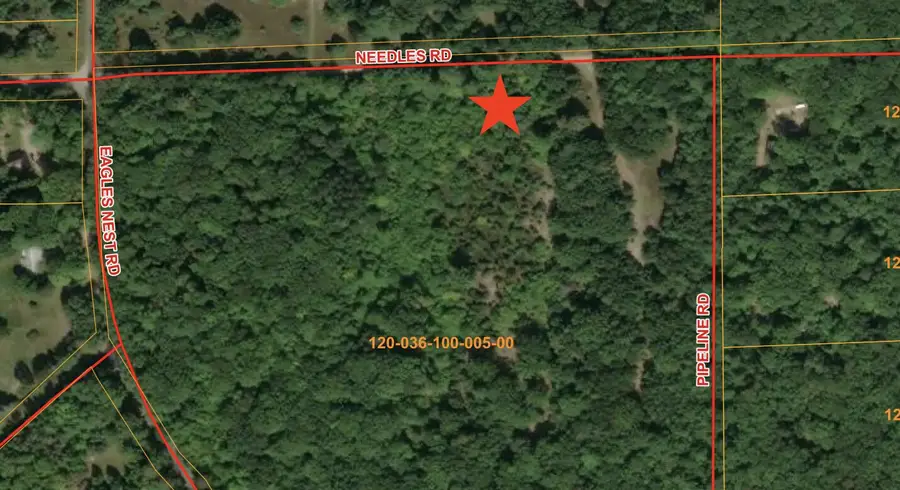 Par 5 Needles Road, Indian River, MI 49749 - #2
