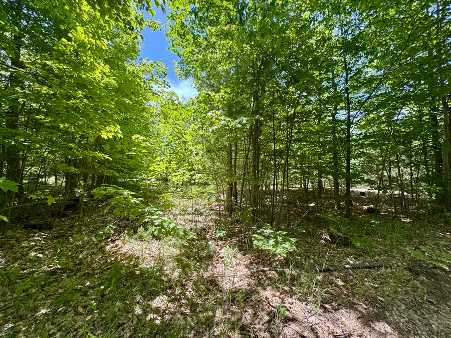 Par 5 Needles Road, Indian River, MI 49749 - #3