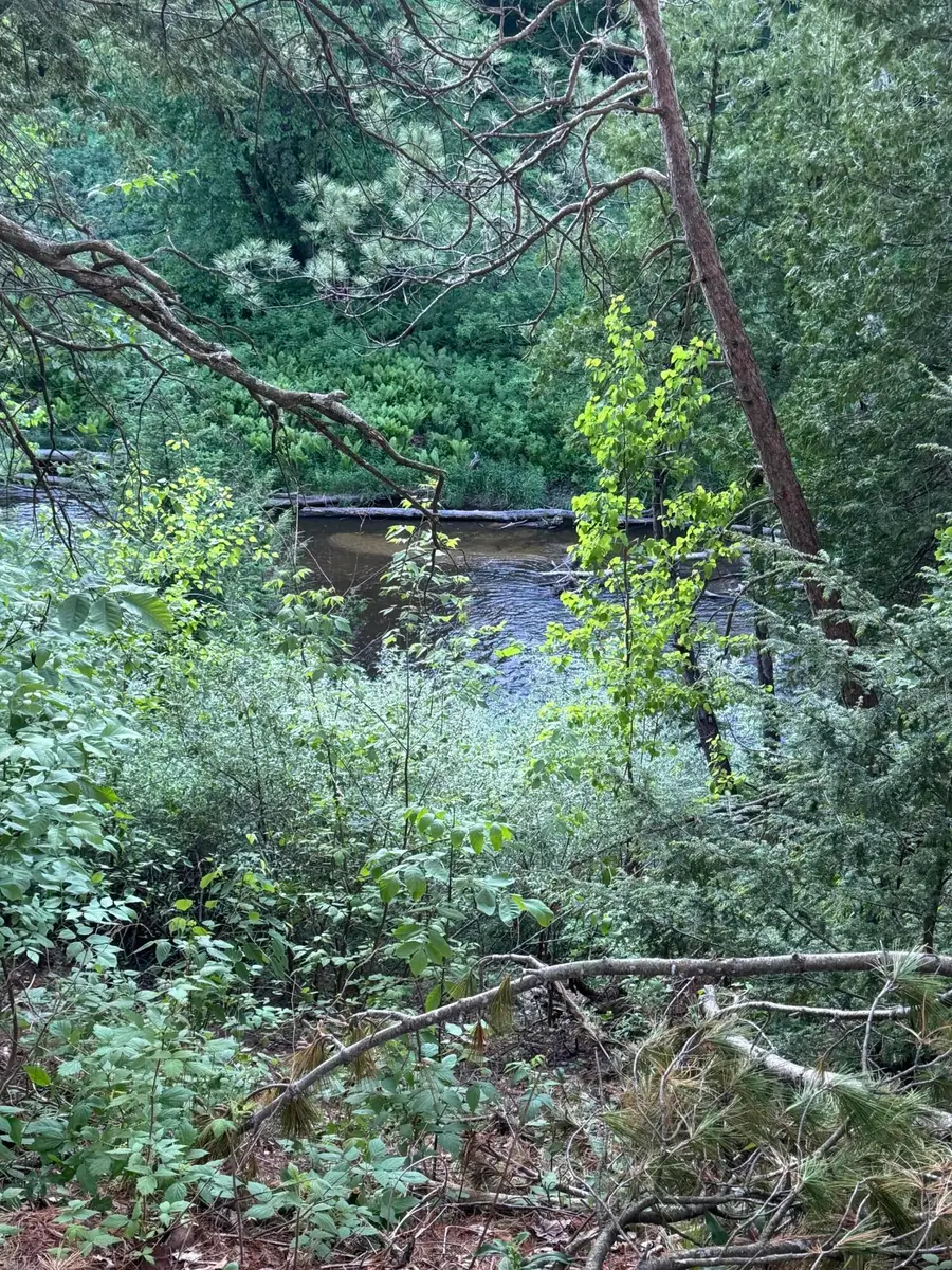 Lot 24 Riverview, Prescott, MI 48756 - #2