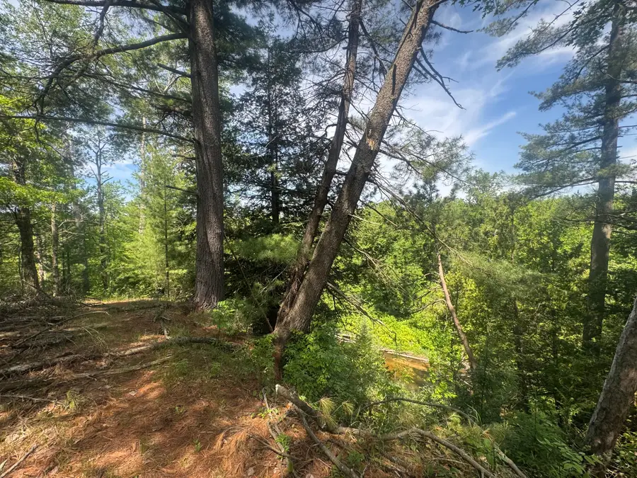 Lot 24 Riverview, Prescott, MI 48756 - #3