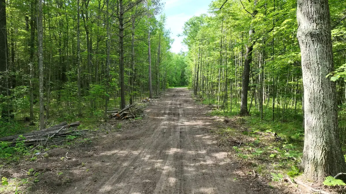0.98 AC State Street, Roscommon, MI 48653 - #1