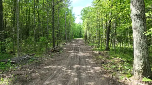0.98 AC State Street, Roscommon, MI 48653