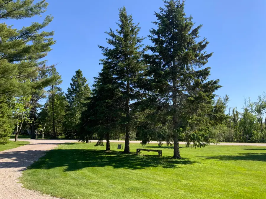 1391 Mann Road, Cheboygan, MI 49721 - #3