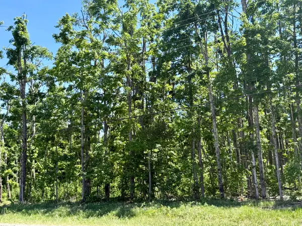 Parcel 6 Van Tyle Road, Elmira, MI 49730