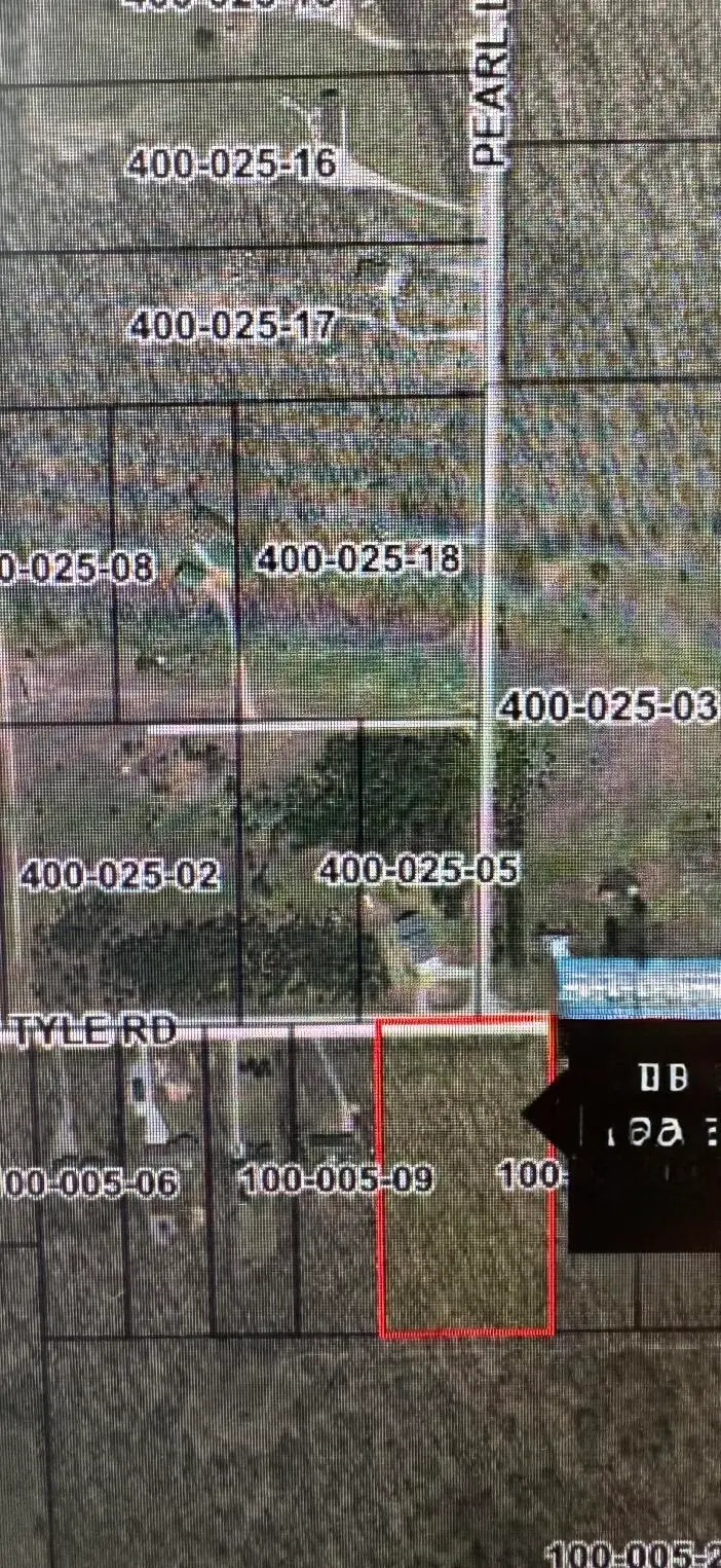 Parcel 6 Van Tyle Road, Elmira, MI 49730 - #3
