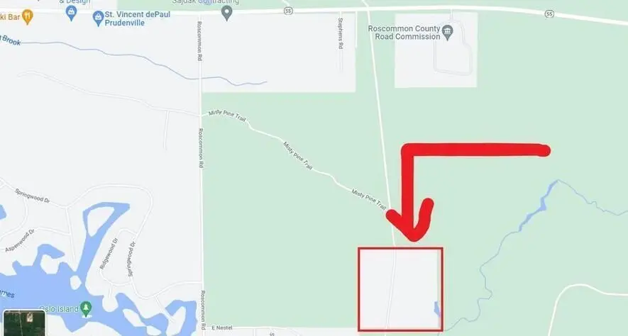 40 AC Nestle Road, Prudenville, MI 48651 - #1