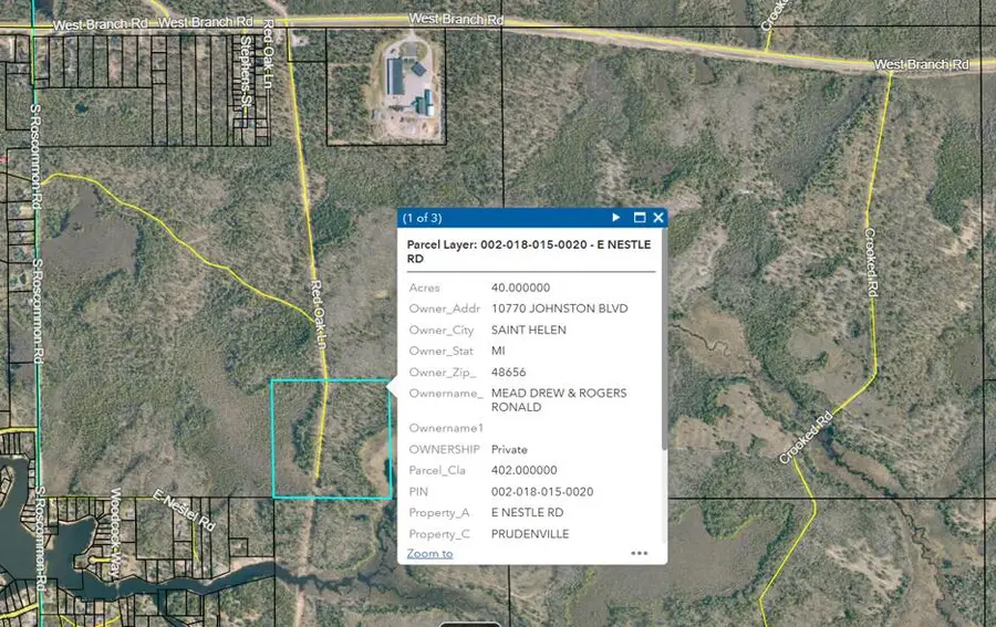 40 AC Nestle Road, Prudenville, MI 48651 - #2