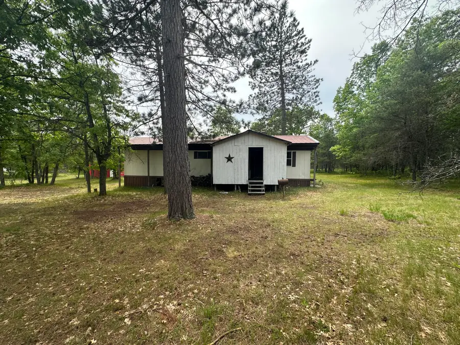 323 Goline Road, Grayling, MI 49738 - #3