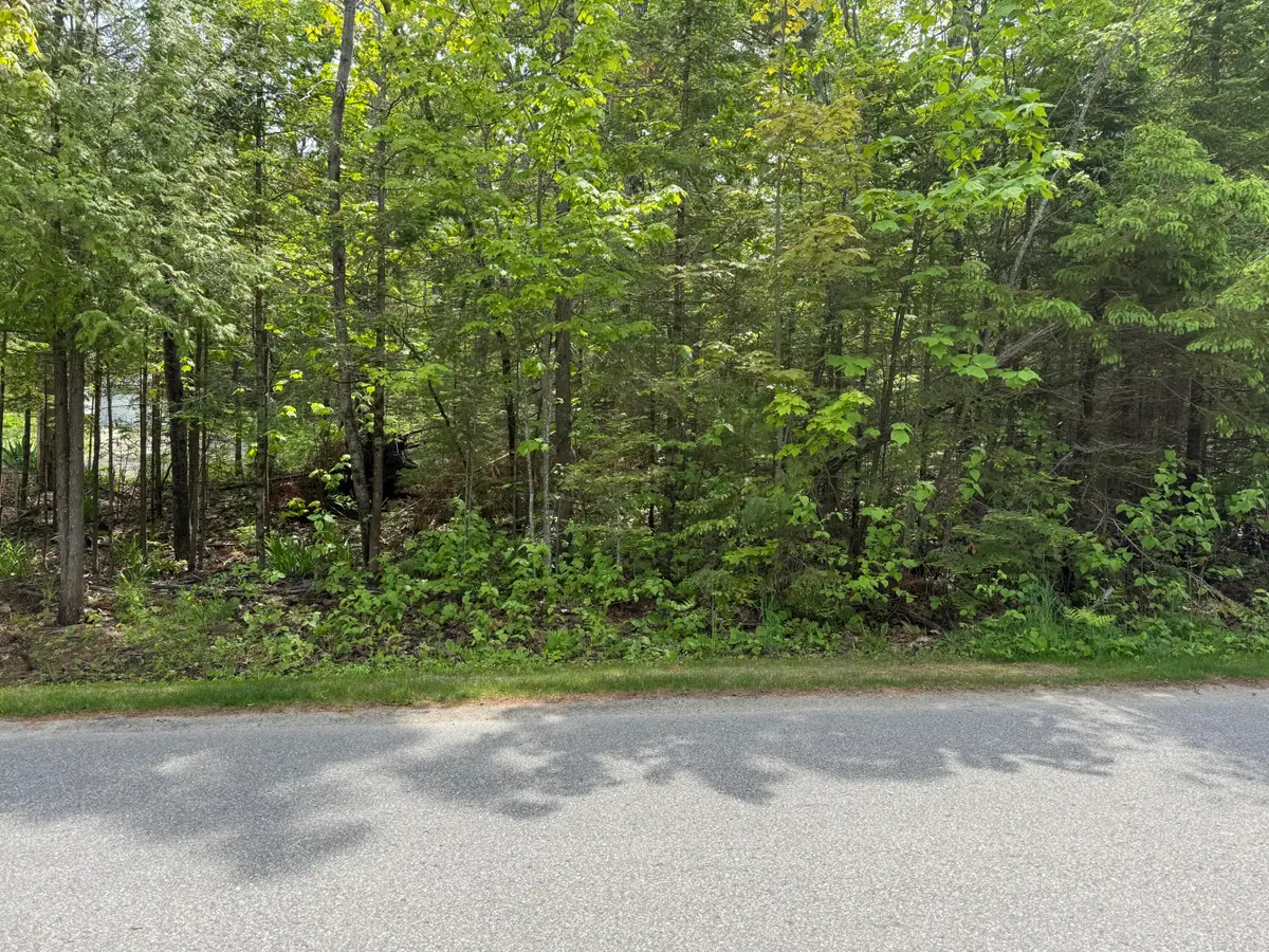 8340 Cordwood Trail, Cheboygan, MI 49721 - #1