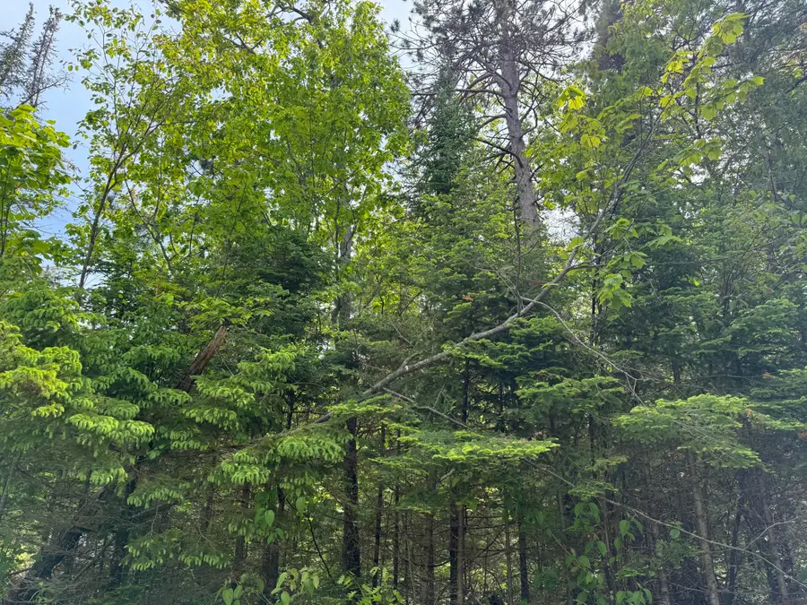 8340 Cordwood Trail, Cheboygan, MI 49721 - #3