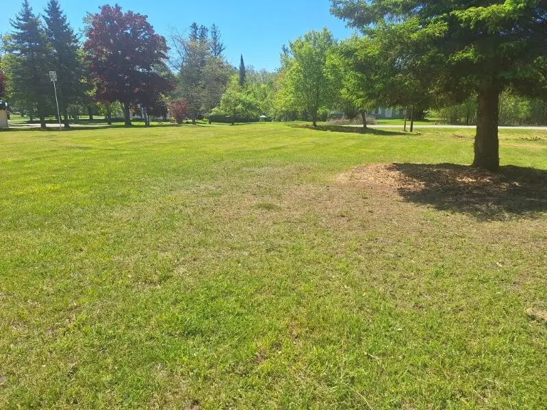 342 E Madison, Harrisville, MI 48740 - #3
