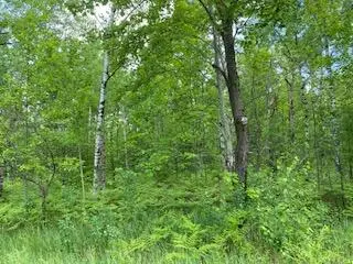 Lot 141 Montrose Drive, Mancelona, MI 49659 - #1