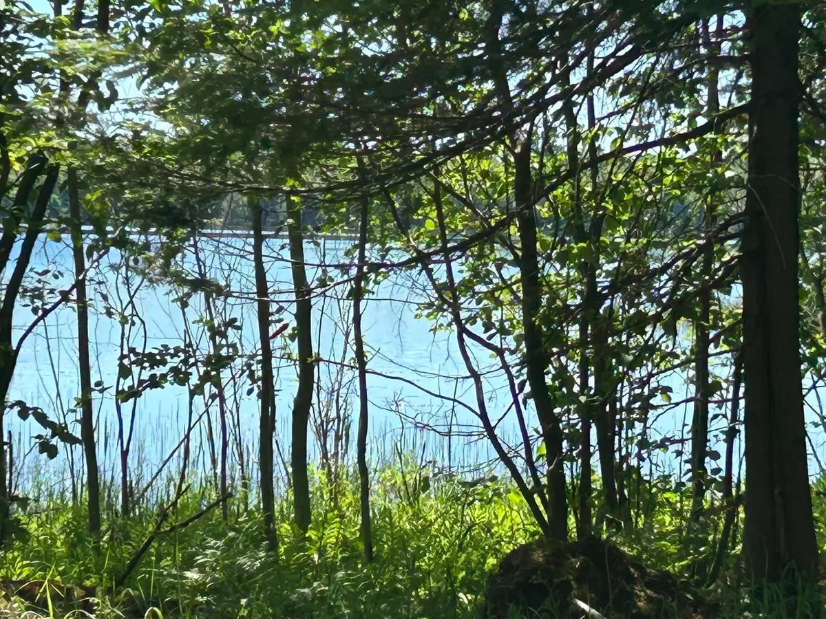 0.94 AC S Wegwas Drive, Trout Lake, MI 49793 - #1