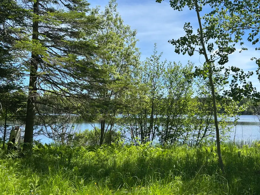 0.94 AC S Wegwas Drive, Trout Lake, MI 49793 - #3