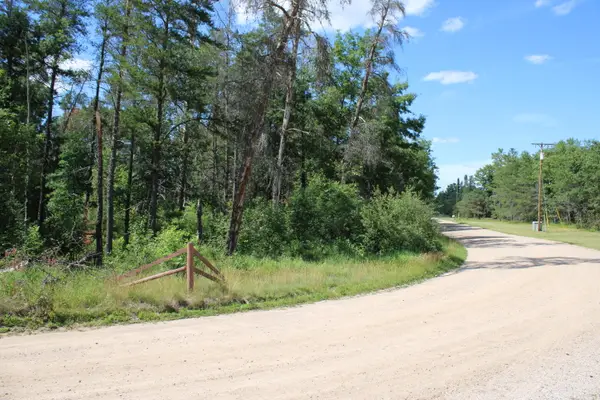 Lots 67-68 E Jackpine Loop, Mio, MI 48647