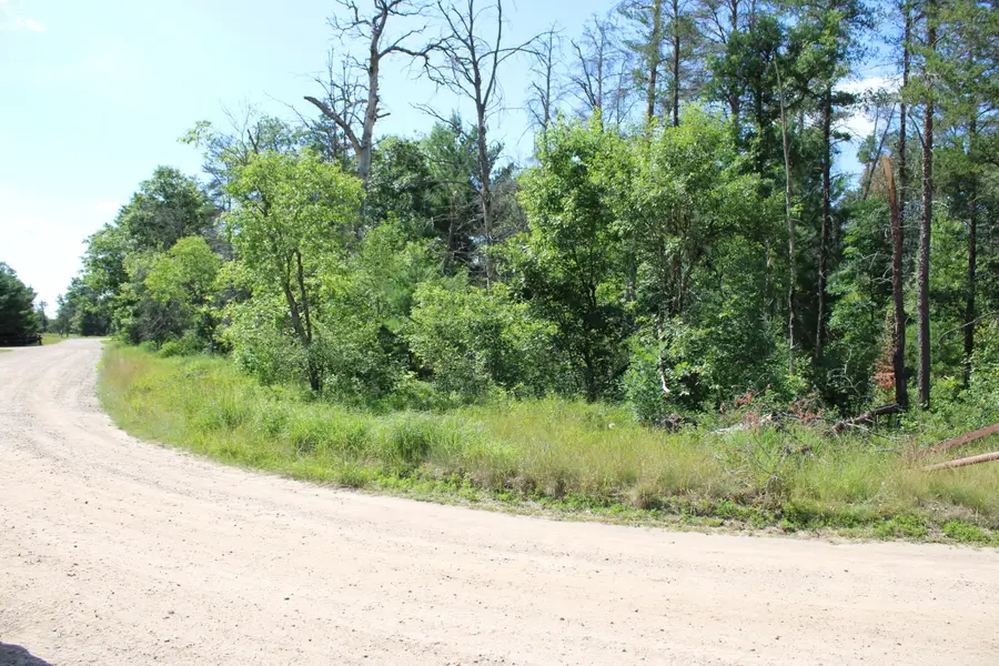 Lots 67-68 E Jackpine Loop, Mio, MI 48647 - #3