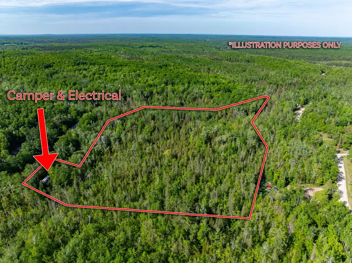 2477 Mont Gabriel Road, Wolverine, MI 49799 - #1