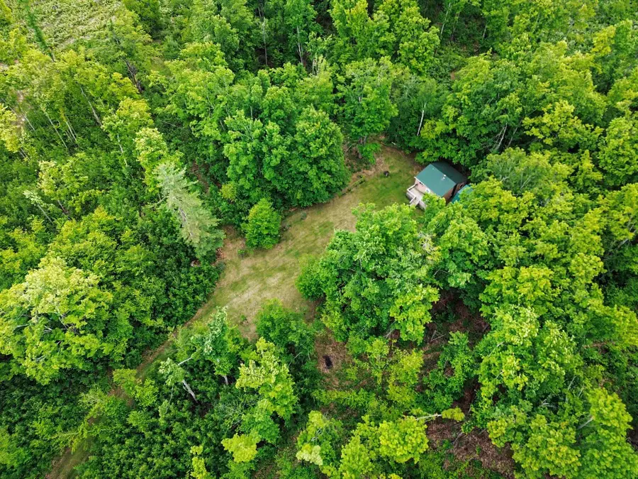1510 Rogers Road, Fairview, MI 48621 - #3