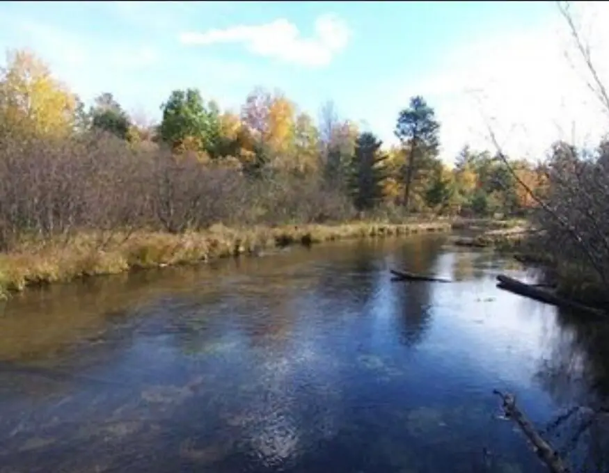 801 S Ausable Trail, Grayling, MI 49738 - #2