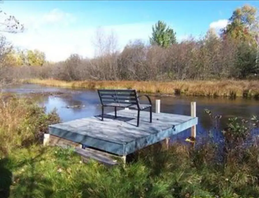 801 S Ausable Trail, Grayling, MI 49738 - #3