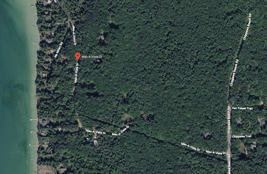0 Mac-a-vista Drive, Indian River, MI 49749 - #2