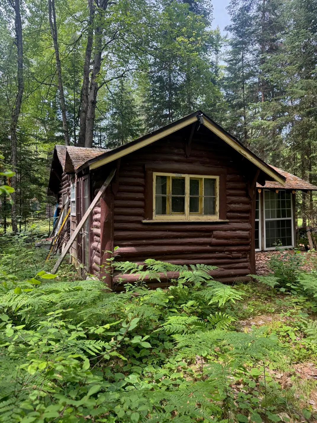 Address Withheld By Seller, Mio, MI 48647 - #1