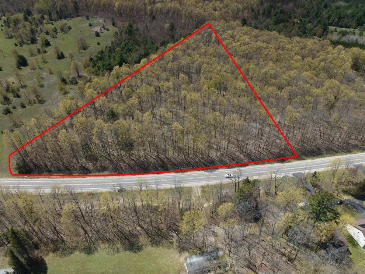 P 3-4 M-66, Mancelona, MI 49659 - #1