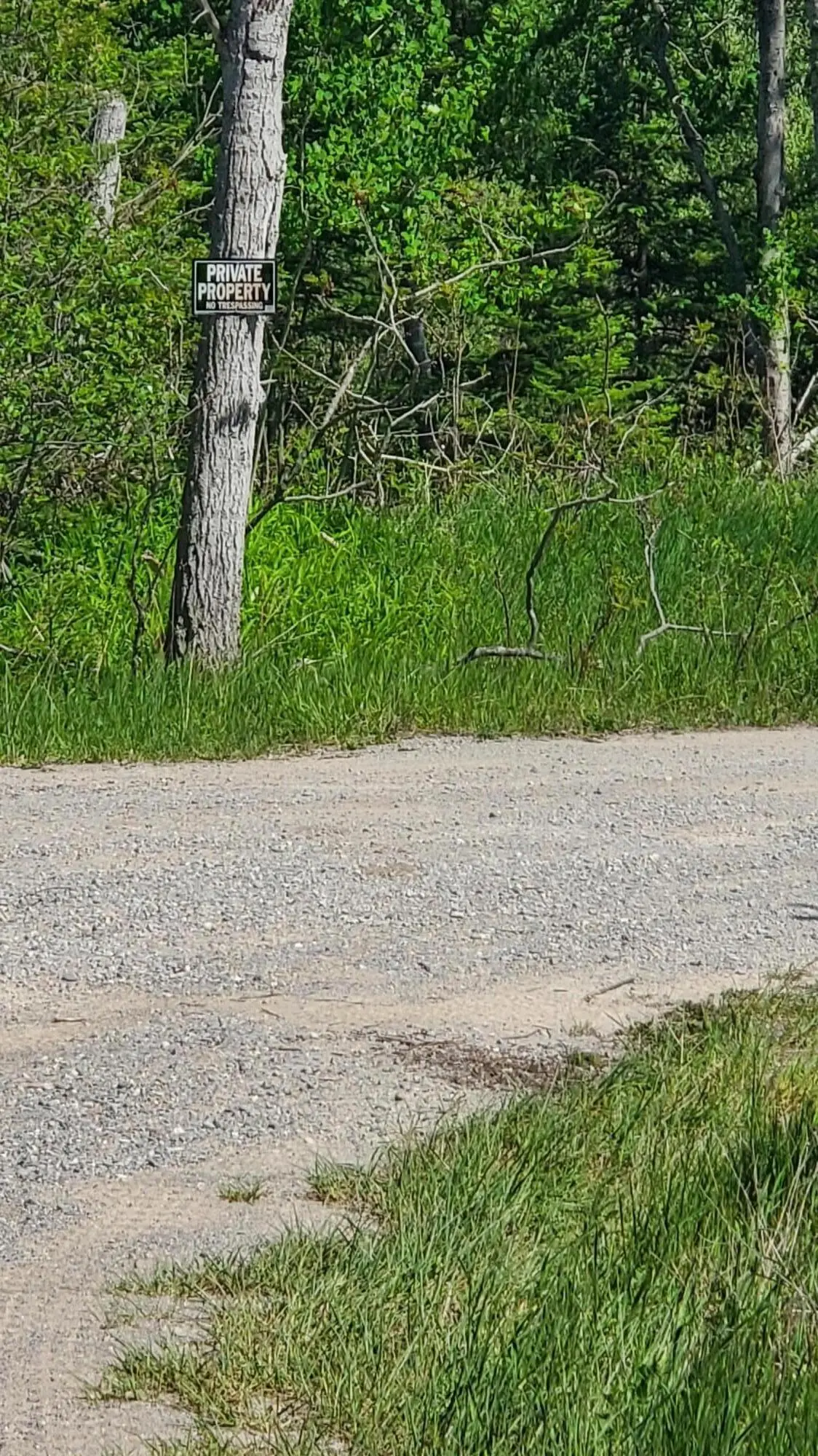 40 AC Werth Road, Alpena, MI 49707 - #1