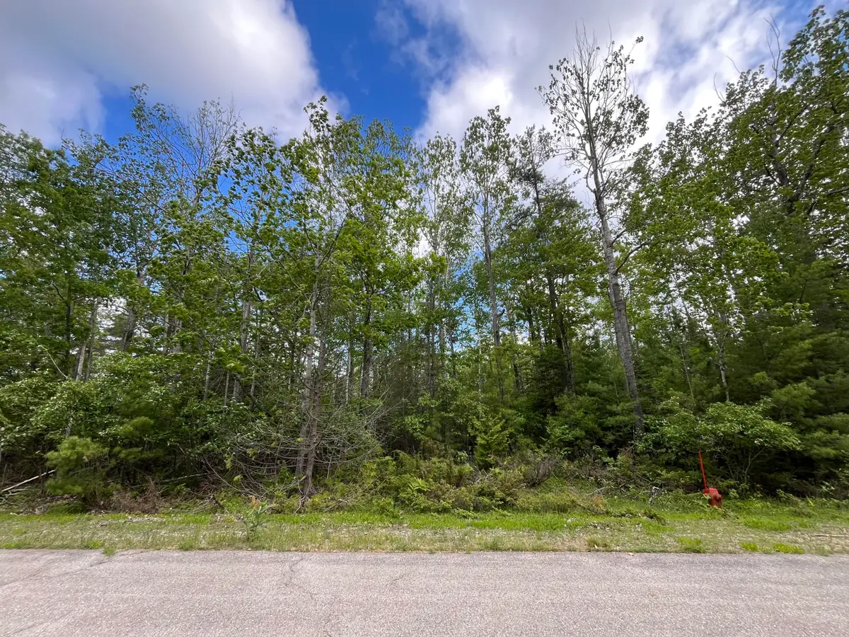 Lot 123 Sunaqua Drive, Presque Isle, MI 49777 - #1
