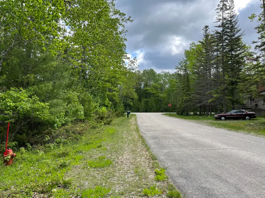 Lot 123 Sunaqua Drive, Presque Isle, MI 49777 - #3