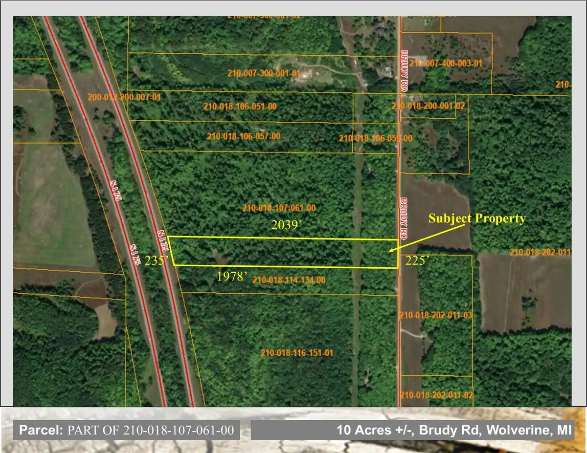 10.4 AC Brudy Road, Wolverine, MI 49799 - #1