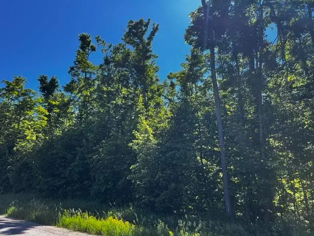 10.4 AC Brudy Road, Wolverine, MI 49799 - #3