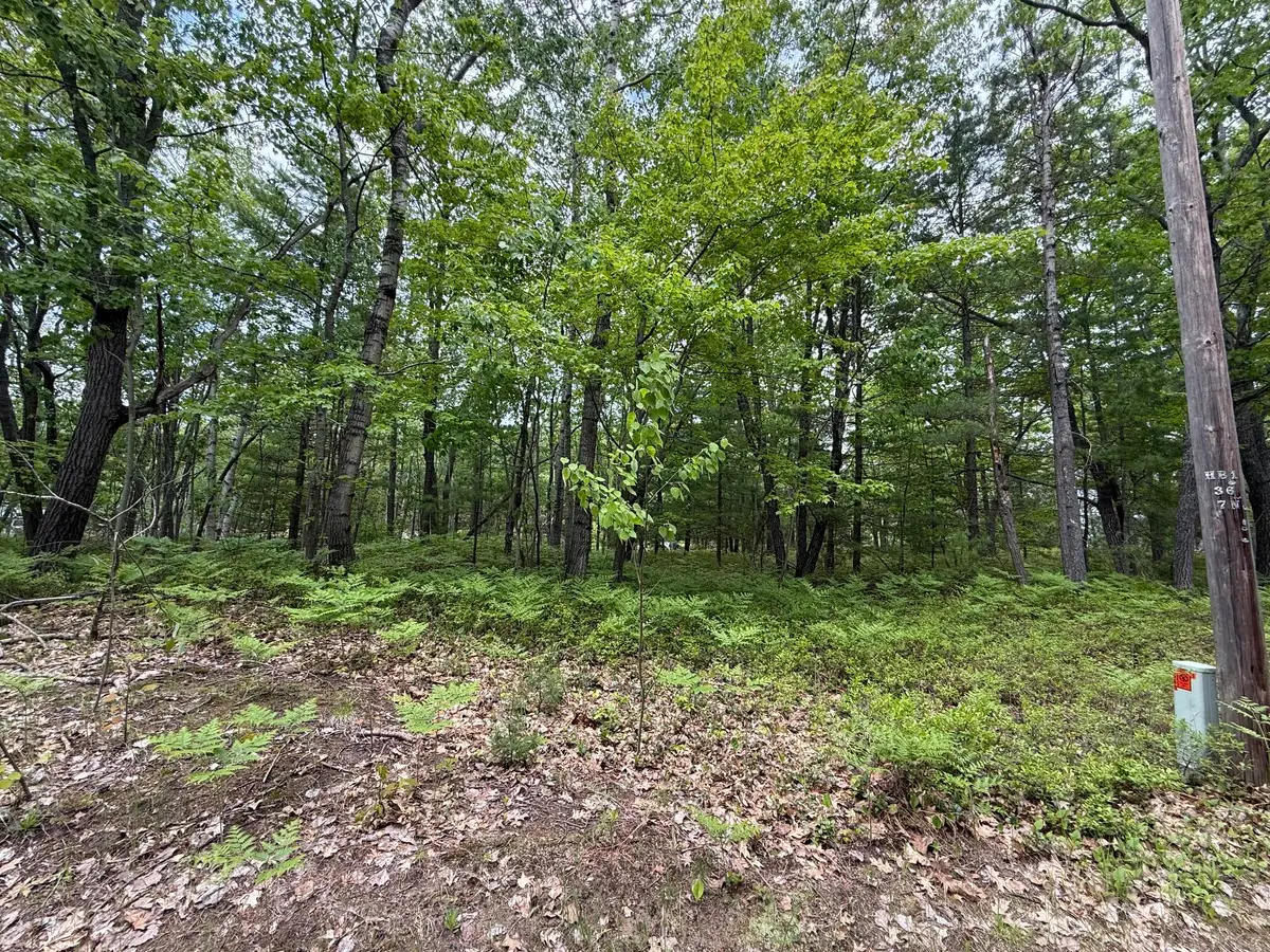 Lot 12 Joy Lane, Ocqueoc, MI 49759 - #1