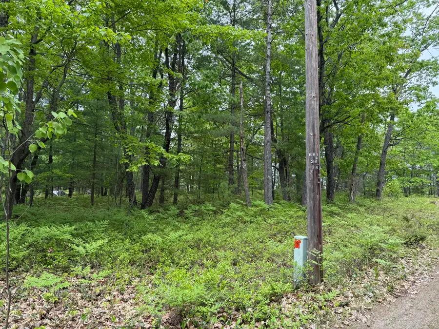 Lot 12 Joy Lane, Ocqueoc, MI 49759 - #3